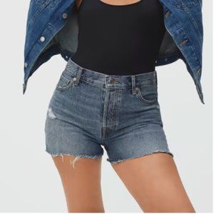 Everlane The Relaxed '90s Short